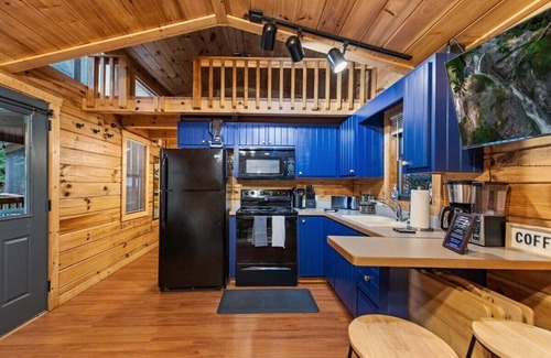 Blairsville Cabin | the racoons nest in Copperhead Lodge