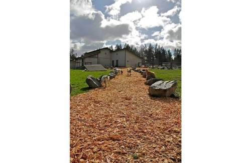 McKenna Cabin | The Red Cabin at Left Foot Farm
