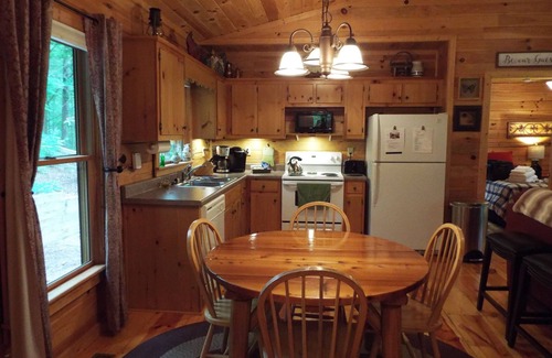 Blue Ridge Cabin | The Red Roof Cottage in Cherry Log Mountain