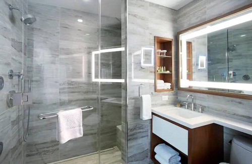 Central Park South Apartment | The Residences, a Hilton Club - Studio Premier - STX