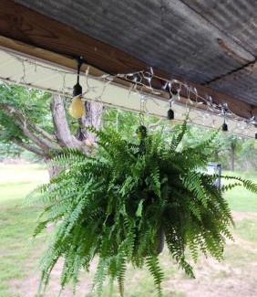 Texico Other | The Rest Mobile