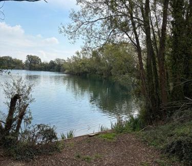 Chichester Resort | The Restful Rose at Chichester Lakeside