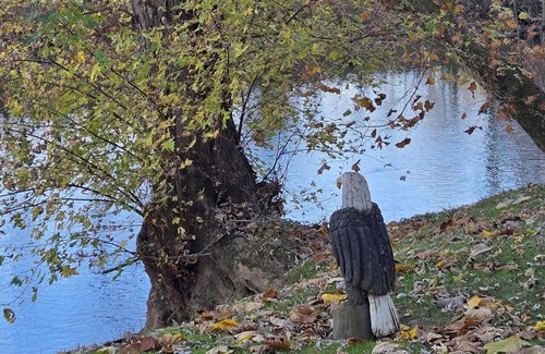 Loudonville Cottage | The Riverside Cottage. Charming 2-bedroom cottage on the Mohican River