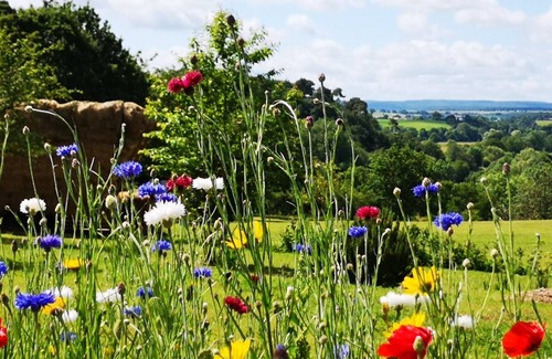 Saint-Leonard-des-Bois Cabin | The Romantic Kota-Cabana