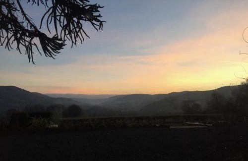 Llanbrynmair Hotel | The Royston