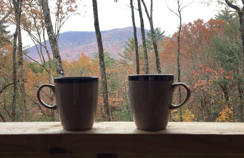 Hidden Lake Cabin | The Rusty Goat-Year-round Mountain View, King-sized bed, highspeed internet!