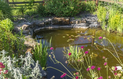 Vernantes House | The Saumur Loire gîte