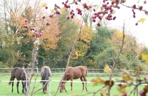 Heuland House | The serenity of Normandy