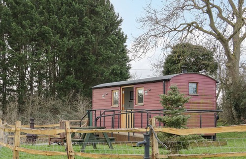 Saint Asaph Cottage | THE SHIRE HUT, pet friendly, character holiday cottage in St Asaph