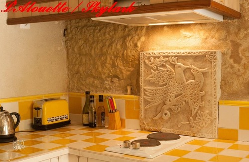 Civray-de-Touraine House | The SKYLARK 'Troglo-gîte' at our Songbird Sanctuary near Chateau Chenonceau