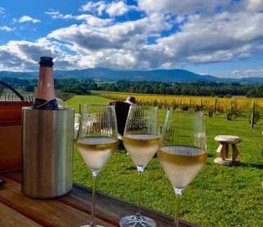 Healesville House | The Small House - Mid century gem in wine county's Healesville