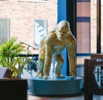Binnenstad-Noord Hotel | The Social Hub Groningen