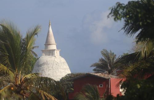 Mirissa Hotel | The Spice House Mirissa