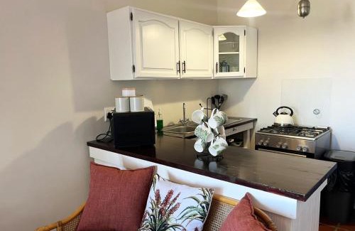 Old Place Apartment | The Studio on Boekenhout
