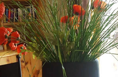 Condon Condo | The Stunning View of the Mountains