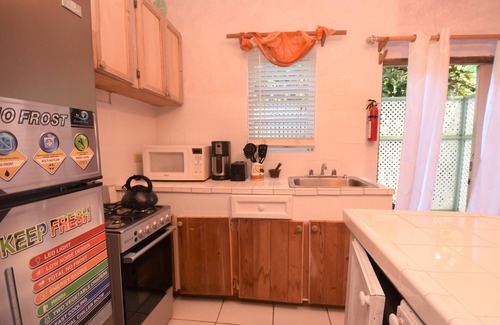 Dunmore Town House | The Sugar Apple Seagrapes with Luxury Garden View