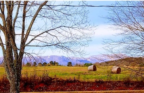 Travelers Rest Apartment | The Suite at Belvue beautiful view