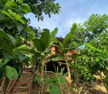 Los Naranjos Other | The Sunset Los Naranjos