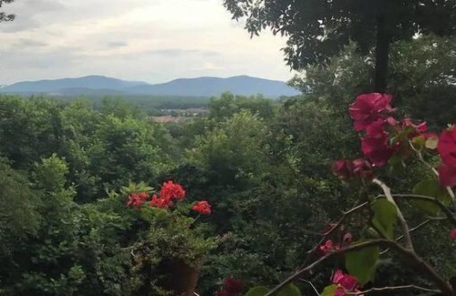 Skyland House | The Sweet Spot