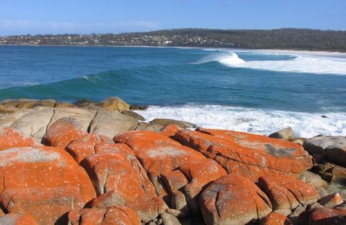 Binalong Bay House | The Tin Shed Binalong Bay, Bay of Fires, Tasmania.