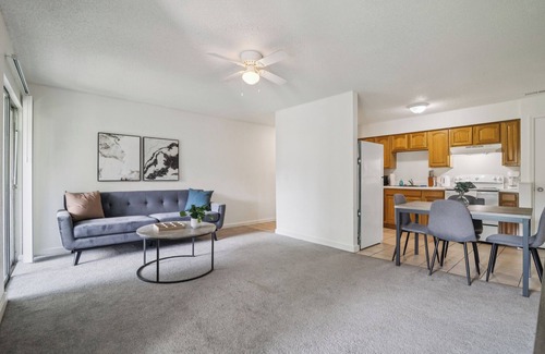 Gainesville Apartment | The Trails J252a I Spacious and Comfy 1 Bed 1 Bath
