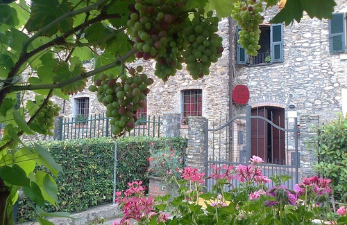 Garlenda Other | The Tralcio, beautiful!