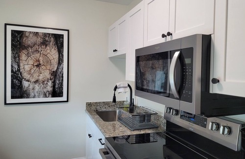 Tazewell Apartment | The Traveler on Main Suite #12- Across the Street from Back of the Dragon!