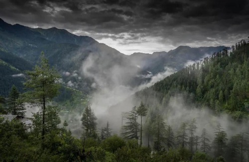 Banjar Ski Chalet | THE TREE HOUSE JIBHI ,Swastika Aashiyana