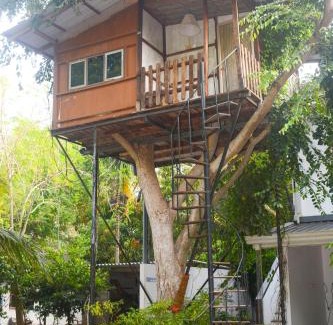 Anuradhapura House | The Tree House VIP Cottage Anuradhapura