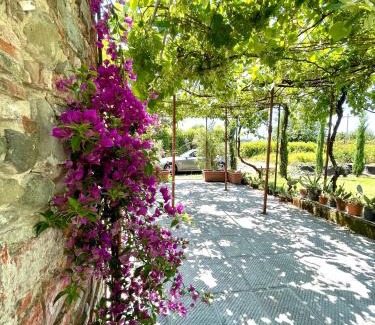 Pistoia House | The Tuscany Rose