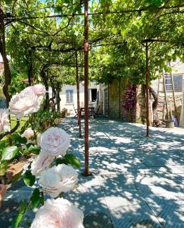 Pistoia House | The Tuscany Rose