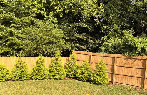 Johns Creek House | The Ultimate Family Retreat: 2BR2BA Home with Work-Friendly Features