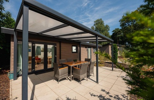 Lieren House | The Veluwe Lodge offers luxury and space for 5 guests with modern amenities in a serene, green setting.