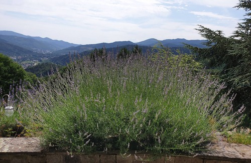Fellering House | The View Fellering Gite-Chambre d'hôtes