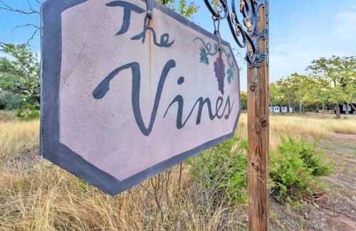 Fredericksburg House | The Vines Retreat Hot-Tubs+Game Room Close to Town