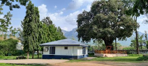 Masinagudi Resort | The Wild Fo'rest Resorts