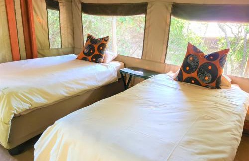Thorny Bush Game Reserve Other | The Wild Olive Tree Camp