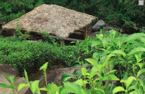 Kiriella Hotel | The Wild Spring