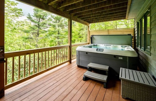 Boone Apartment | The wild turkey - Boone