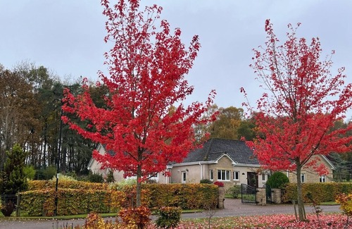 Dollar House | 'The Willows' A Charming home on Dollarbeg Castle Estate