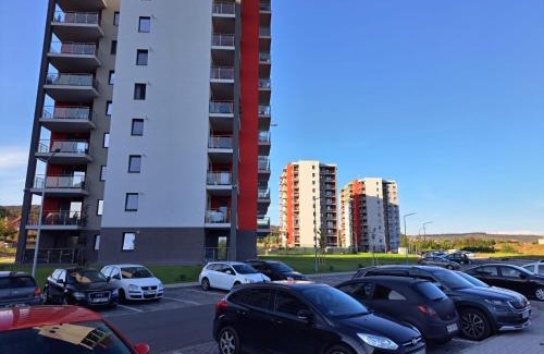 Tirgu Mures Apartment | The World Apartament II