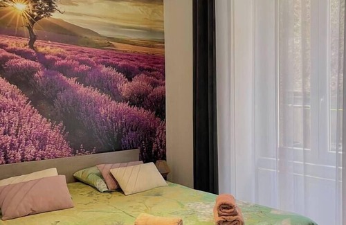 Mulhouse Apartment | The world of Provence in the heart of Mulhouse