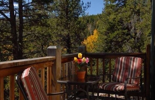 Evergreen Cabin | The Writers Nest - Perfect Romantic Location BEAT THE HEAT at5 9000 Feet