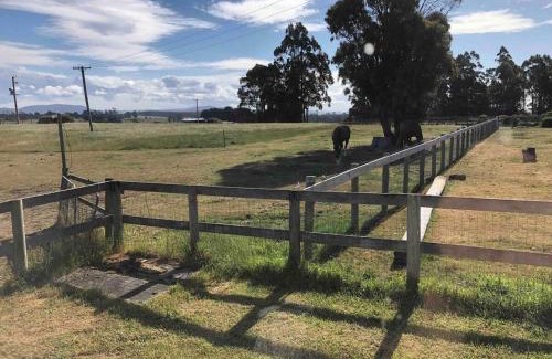 Lower Barrington House | The yellow house