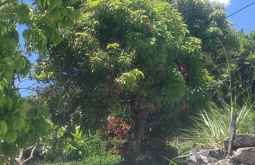 Riviere-Salee Apartment | The yole countryside view