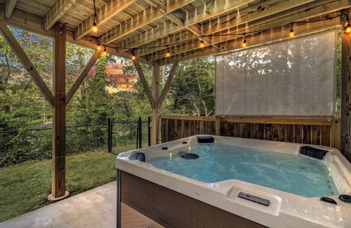 Asheville House | Theater-Speakeasy-Arcade-Games-Hot Tub-Dogs ok- near downtown and Biltmore