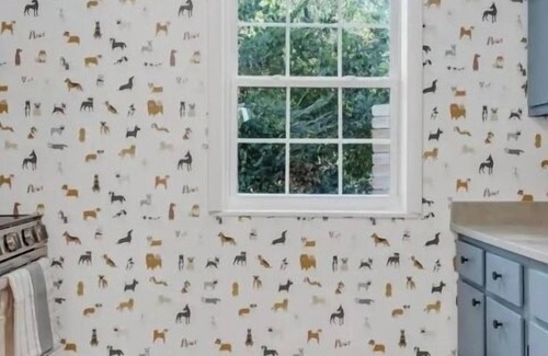 Nashville Apartment | This apartment is a 1 bedroom(s), 1 bathrooms, located in Nashville, TN.