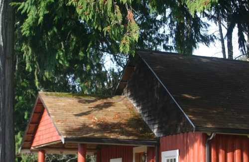 Ashford Cabin | This historic cabin is just a few miles from Mt Rainier National Park. Pet friendly. Fish pond, pastures, old cedars, 11-acres. Private hot tub surrounded by grove of old cedars.