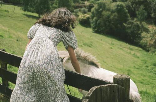 Tauriko House | Thistle Orchard Cottage