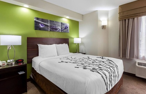 Temple Terrace House | Thoughtfully Furnished Room for a Comfortable Stay